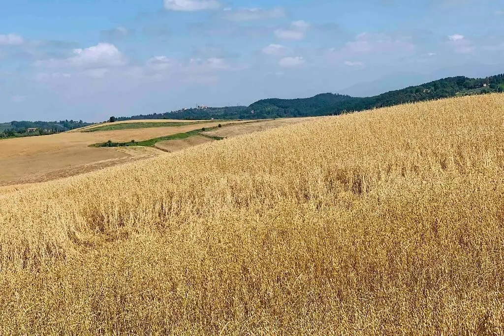 Vacanze Sulle Colline Toscane Ad Un Passo Dal Mare Orciano Pisano